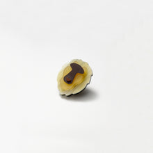 画像をギャラリービューアに読み込む, ANIMALE アニマーレ(lion)