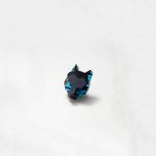 画像をギャラリービューアに読み込む, ANIMALE アニマーレ(wolf)